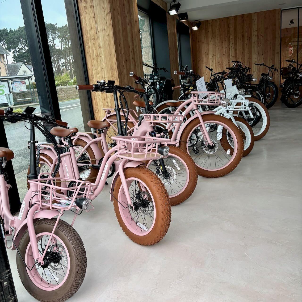 La flotte de fat bikes électriques BOUBOU BICLOO® à louer à Ploumanac'h