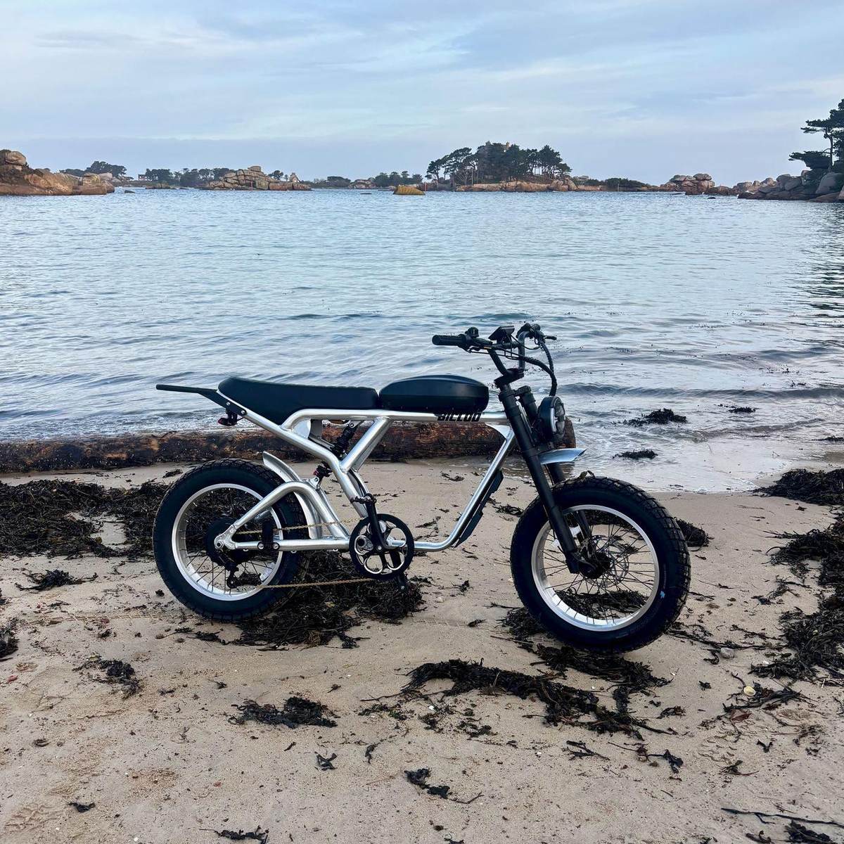 Vélo électrique biplace MODEL B52® de profil