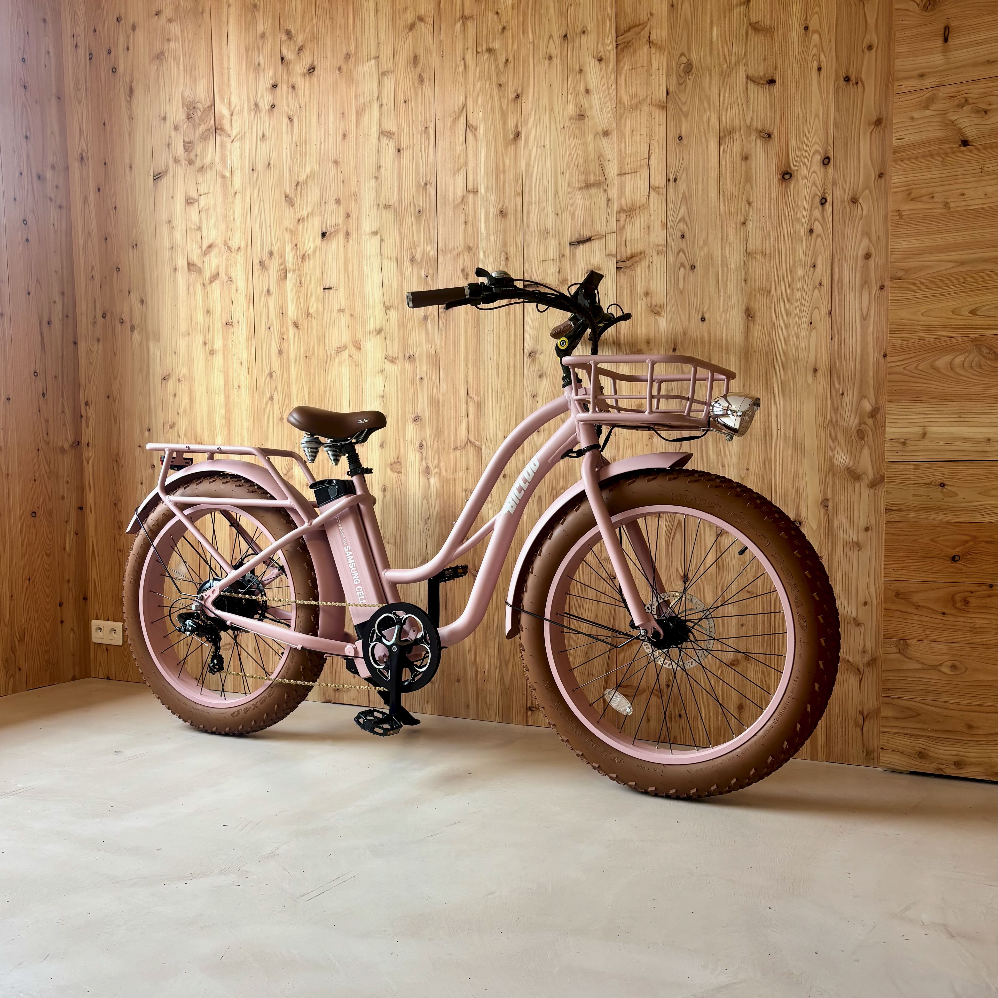 CRUISER® : le fat bike électrique des balades côtières et criques de Bretagne