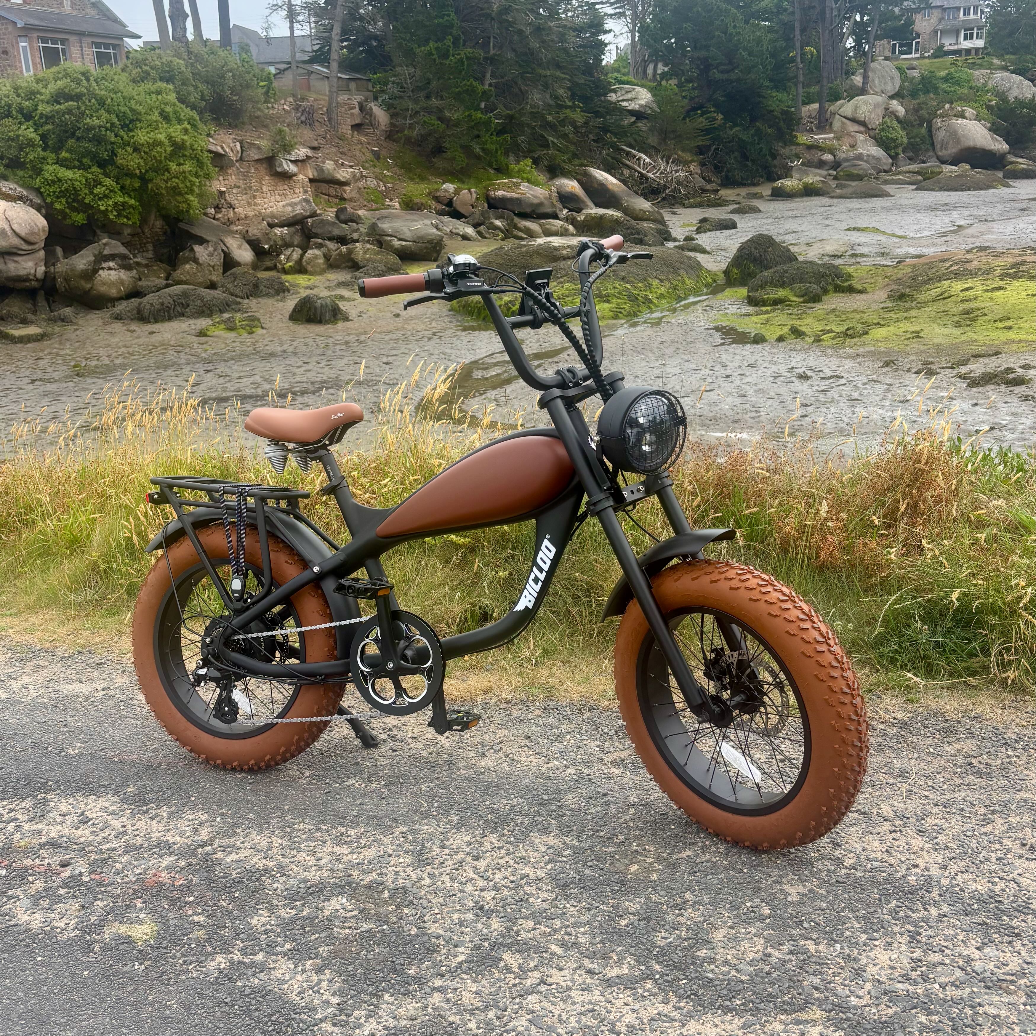 EAGLE® — fat bike électrique BOUBOU BICLOO®